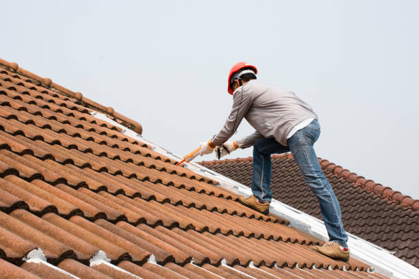 Best Asphalt Shingle Roofing  in West Peoria, IL